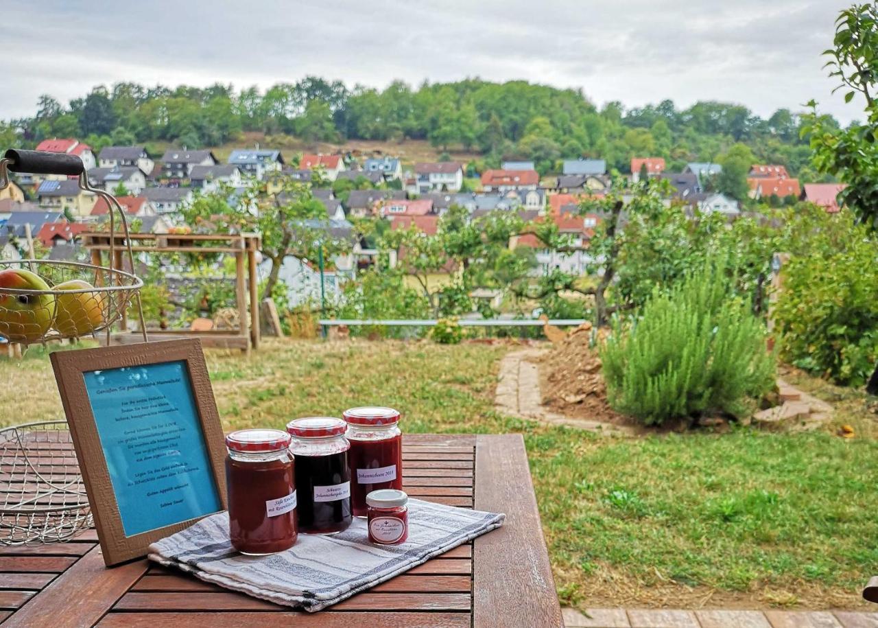 Ferienwohnung Im Paradies Momlingen Exteriér fotografie